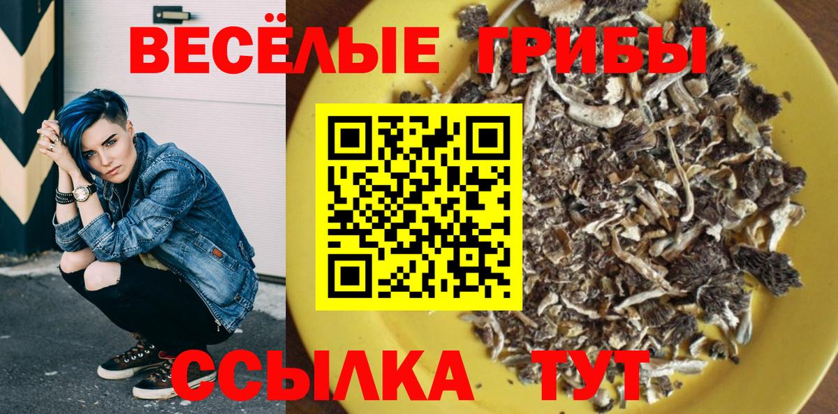 Псилоцибиновые грибы Cubensis  Вход с VPN  Протвино 