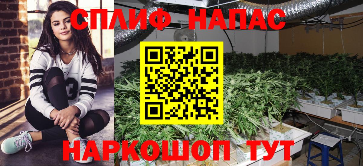 Марихуана тримм  Вход с VPN  Протвино  Марихуана OG Kush  Шишки марихуана ГИДРОПОН 